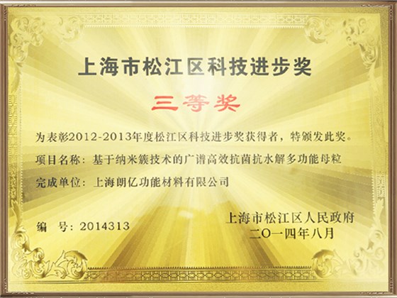上海市松江區(qū)科技進步三等獎
