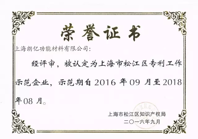 2016年松江區(qū)專利工作示范企業(yè)